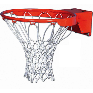 Breakaway Basketball Rim & Net